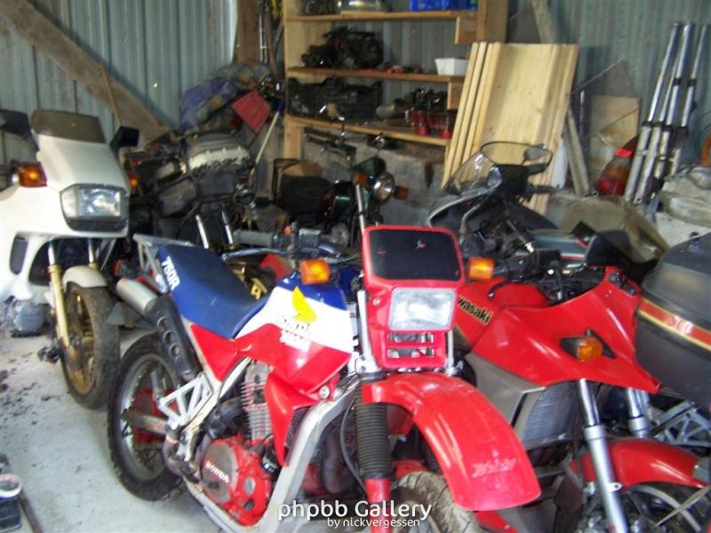 100 7065 (Large)