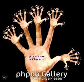 Salut à tous