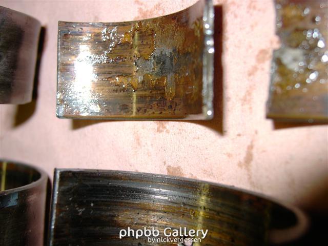 PICT4294 (Small)