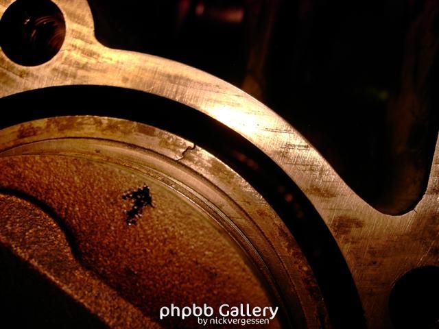 PICT4318 (Small)