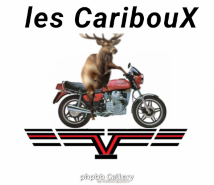 les cariboux